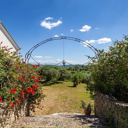 Classical Villa Anta Agios Ioannis  Ngoại thất bức ảnh