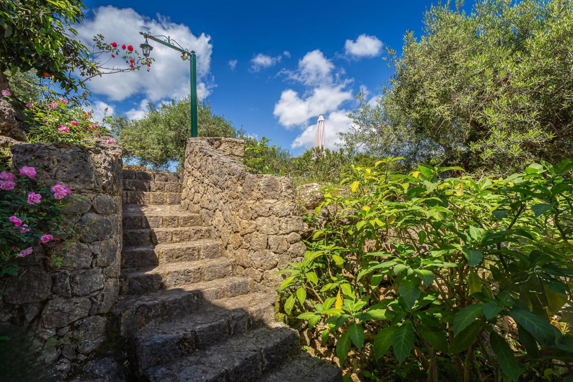 Classical Villa Anta Agios Ioannis  Ngoại thất bức ảnh